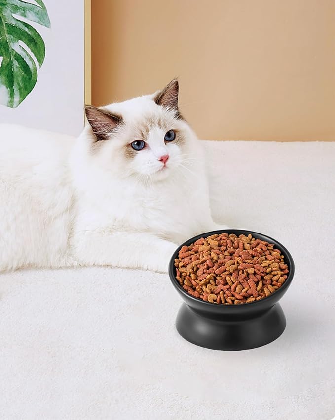 LoeJan Elevated Cat Food Bowl, 5 Oz Ceramic Raised and Tilted Water Bowl, Anti Vomiting and Protect Pets' Spines Dishes for Small Dog, Fat Faced Cat, Kitten (Black, 2 Pack)