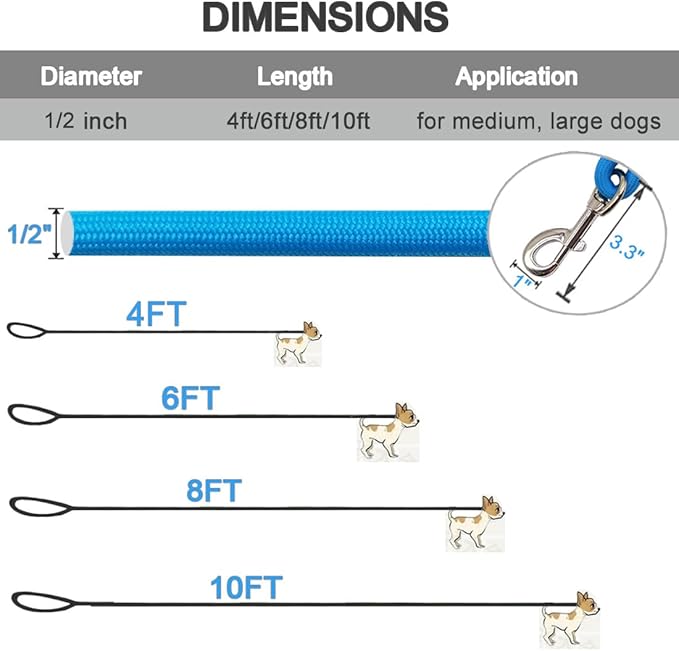MayPaw 4/6 /8/10 FT Dog Leash, Classic Solid Colors, Strong Nylon Rope Dog Leash Reinforced with Leather Tailor Connection Heavy Duty Silver Clasp (Blue, 8ft*1/2")
