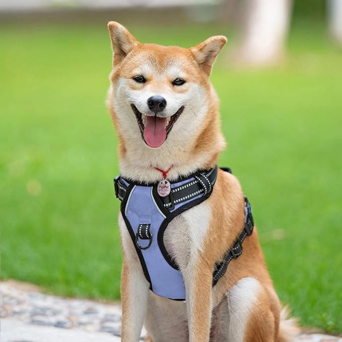 PoyPet No Pull Dog Harness, Reflective Comfortable Vest Harness with Front & Back 2 Leash Attachments and Easy Control Handle Adjustable Soft Padded Pet Vest for Small to Large Dogs (Light Blue,XS)
