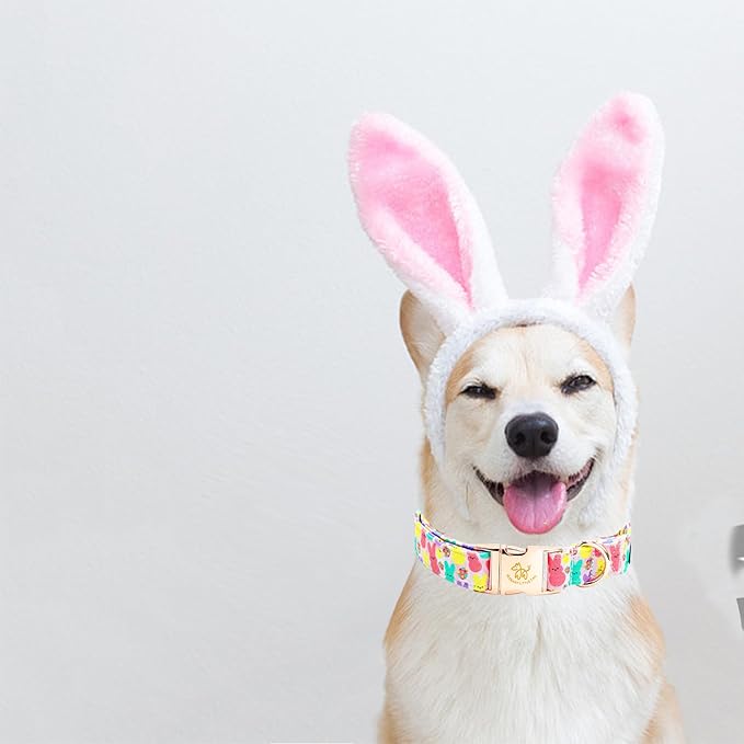 Elegant little tail Easter Dog Collar, Bunny Print Pet Collar Durable Cotton Dog Collars Girl or Boy Metal Collars Holiday Pet Gift Adjustable Dog Collar for Medium Dogs