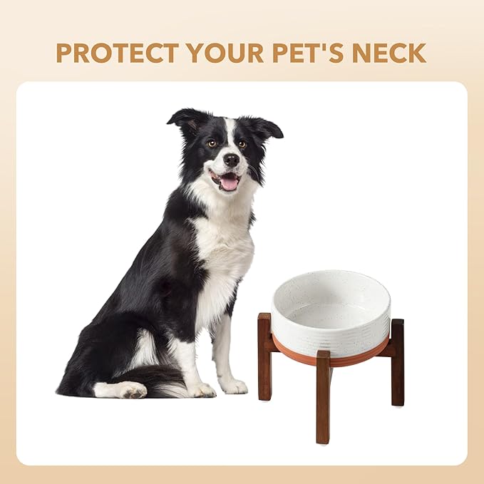 Ceramic 7.3inch Raised Dog Bowl Set, Elevated with Acacia Wood Stand, Food and Water Bowl for Medium Breed Dogs, Weighted Pet Dishes(41oz, Vanilla White)