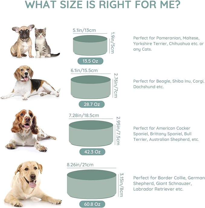SPUNKYJUNKY 28.7OZ Ceramic Dog and Cat Bowl, Modern Cute Weighted Food Water Bowl for Replacement Morandi Green (2 Pack)