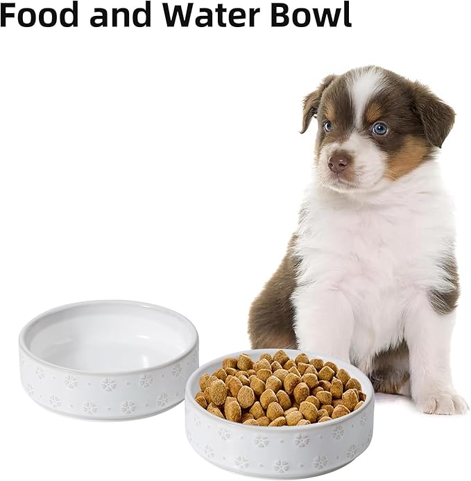 6.1inch Ceramic Set of 2 Dog and Cat Bowls, Food and Water Bowls for Toy Breed Dogs, Kitty, 2pcs Pet Dishes, Cat Feeder(2Dishes, White with Snowflake Pattern)