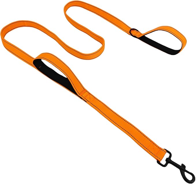 Solmoony 6FT Orange Strong Dog Leash with 2 Padded Handles, Traffic Handle Extra Control, Double-Sided Reflective Walking Lead for Small Medium and Large Dog (Orange, 6FT)