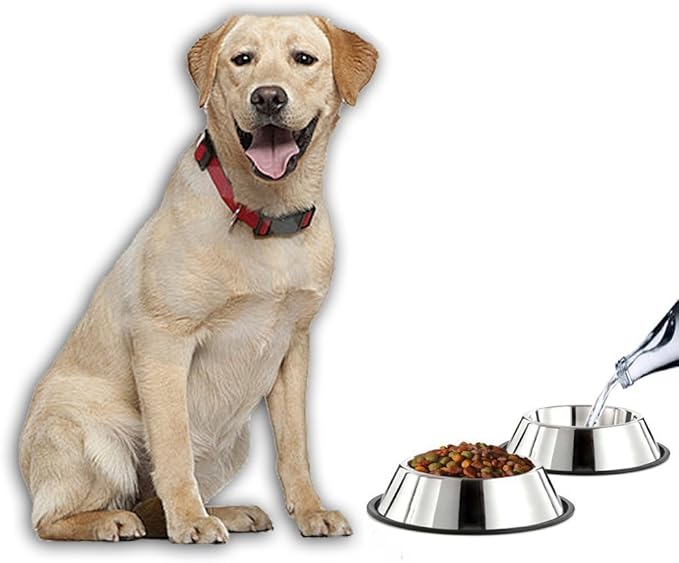 Mlife Stainless Steel Dog Bowl with Rubber Base for Small/Medium/Large Dogs, Pets Feeder Bowl and Water Bowl Perfect Choice (Set of 2)