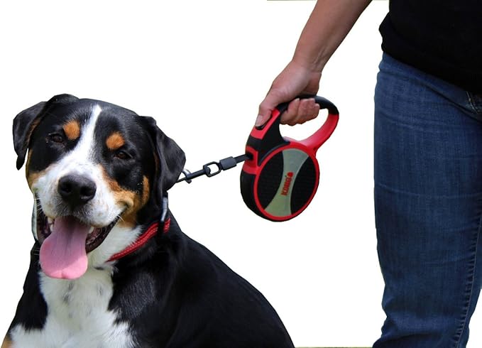 Kong Alcott Ultimate Retractable Dog Leash, Extra Large, Blue, 16' Long