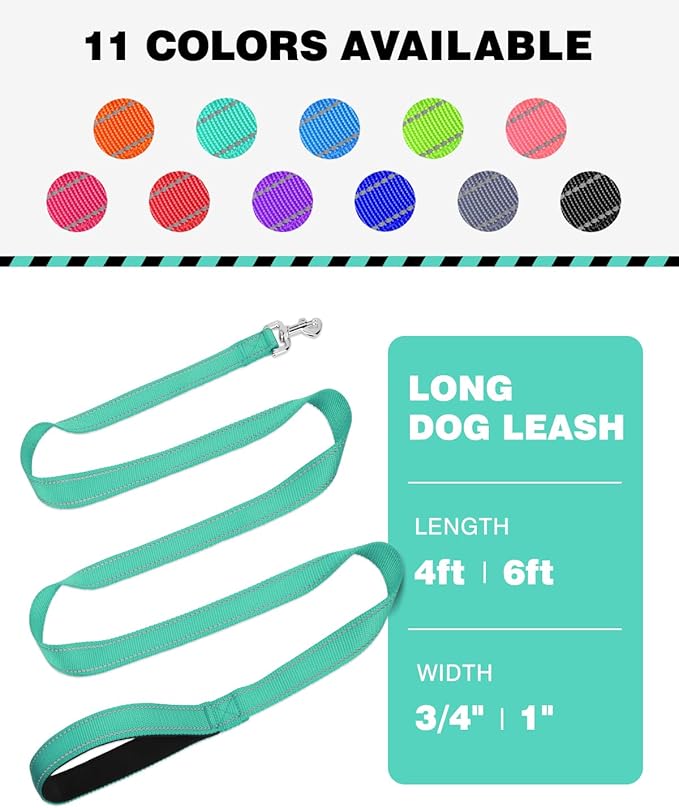 Reflective Dog Leash 4ft Soft Padded Handle Nylon Lead for Small & Medium Dogs, Durable Walking Training Leash for Night Safety (Turquoise,1Inch Wide)