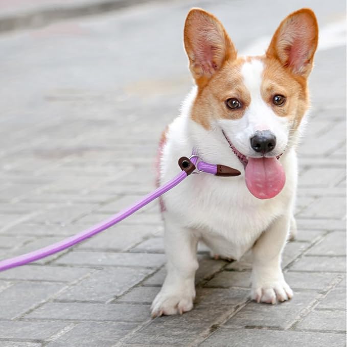 BTINESFUL 7FT Slip Lead Dog Leash, Strong Nylon Rope Leash, 1/4 inch Diam Dog Training Lead for Small Medium Pets Puppies, Purple