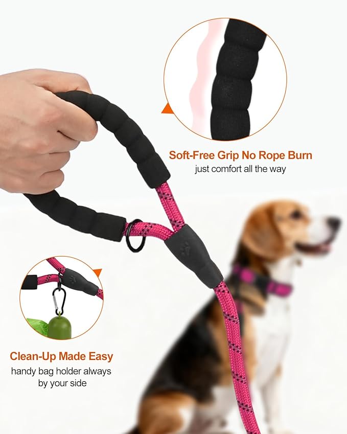 Joytale Dog Leash for Small Dogs, Heavy Duty Nylon Leashes with Comfortable Padded Handle and Highly Reflective Threads, Ideal for Walking and Training, Hotpink, 5'횞3/8''