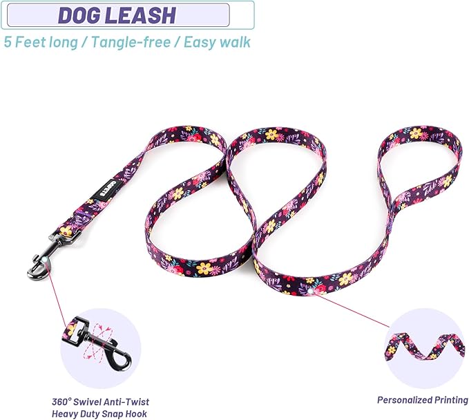 QQPETS Dog Harness Leash Set Adjustable Heavy Duty No Pull Halter Harnesses for Small Medium Large Breed Dogs Back Clip Anti-Twist Perfect for Walking