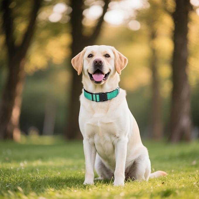 Reflective Dog Collar for Extra Large Dogs, Adjustable Collar with Soft Neoprene Padded, Durable Buckle for Daily Walking,Teal,XL