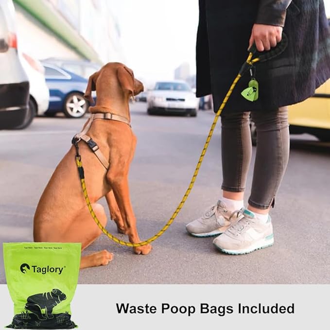 Taglory Rope Dog Leash 5 FT with Comfortable Padded Handle, Highly Reflective Threads Leash for Small Dogs, 3/8 inch, Yellow