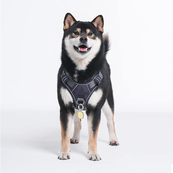 Pawaii No Pull Dog Harness with Pet ID Tag,Reflective Strips No Choke Front O Ring Breathable Mesh Adjustable Soft Padded Pet Vest with Easy Control Handle for Large Dogs