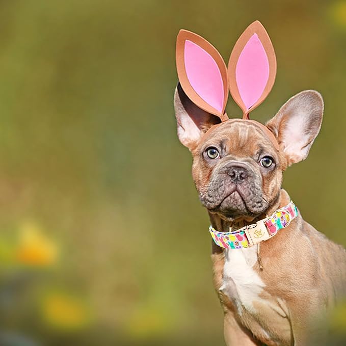 Elegant little tail Easter Dog Collar, Bunny Print Pet Collar Durable Cotton Dog Collars Girl or Boy Metal Collars Holiday Pet Gift Adjustable Dog Collar for X-Large Dogs
