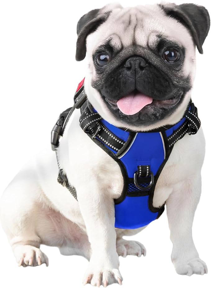 PHOEPET No Pull Dog Harness Medium Reflective Front Clip Vest with Handle,Adjustable 2 Metal Rings 3 Buckles,[Easy to Put on & Take Off](L, Royal Blue)