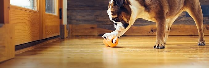 West Paw Zogoflex Qwizl Interactive Treat Dispensing Dog Puzzle Treat Toy for Dogs, Tangerine, Small