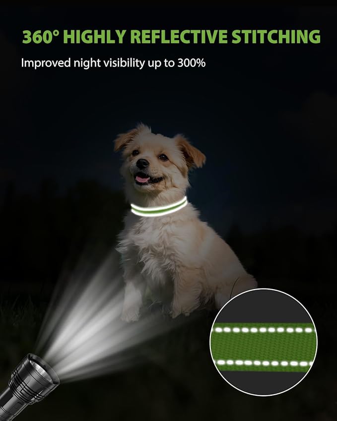 Joytale Small Dog Collar, Reflective and Adjustable Nylon Collar with Quick-Release Buckle, Lightweight No-Choke Design for Small Dogs, Green, 3/4" Width