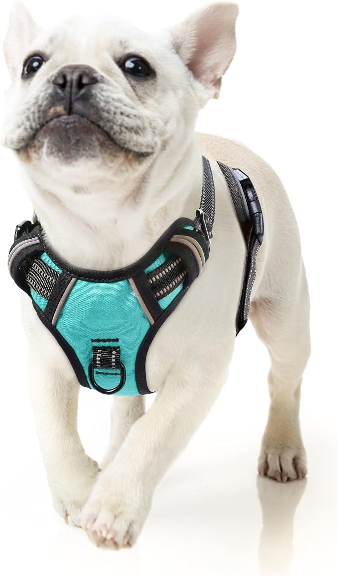 HEELE Dog Harness Dog Harness Small Dog No Pull Harness wiht Soft Handle Reflective Harness Adjustable, Turquoise, S