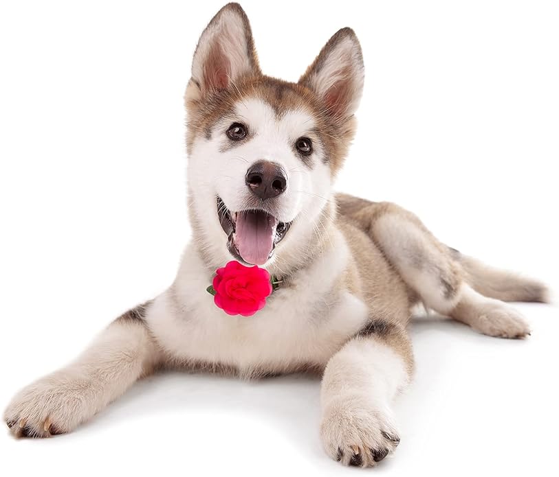 PET SHOW Valentines Small Dogs Flower Charms Slide Collar Accessories for Medium Large Dogs Cat Puppies Rabbit Pigs Collars Bows Grooming Supplies