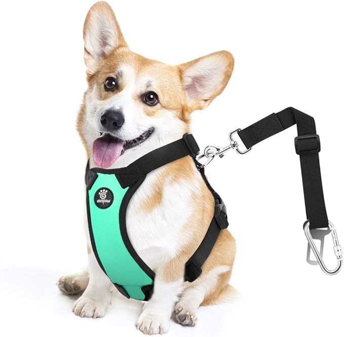Dog Seat Belt, Safety Vest Dog Car Harness with Adjustable Buckle Dog Seat Belt for Vehicle Nylon Pet Safety Seat Belts Heavy Duty(M, Lake Blue)