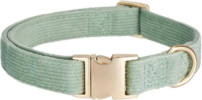 Cotton Fibric Dog Collar with High Grade Metal Buckle, for Small Dogs(Light Green,Small:10-15")