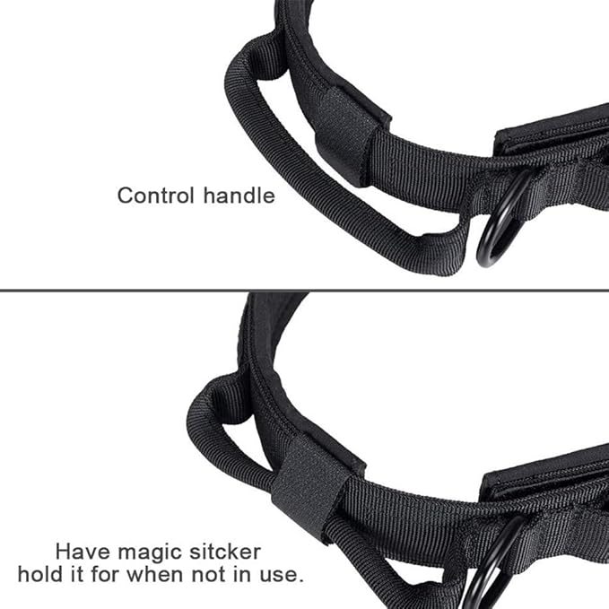 Xqpetlihai Tactical Dog Collar Adjustable Military Nylon Dog Collar with Control Handle and Heavy Duty Metal Buckle for Medium and Large Dogs (Black,L)