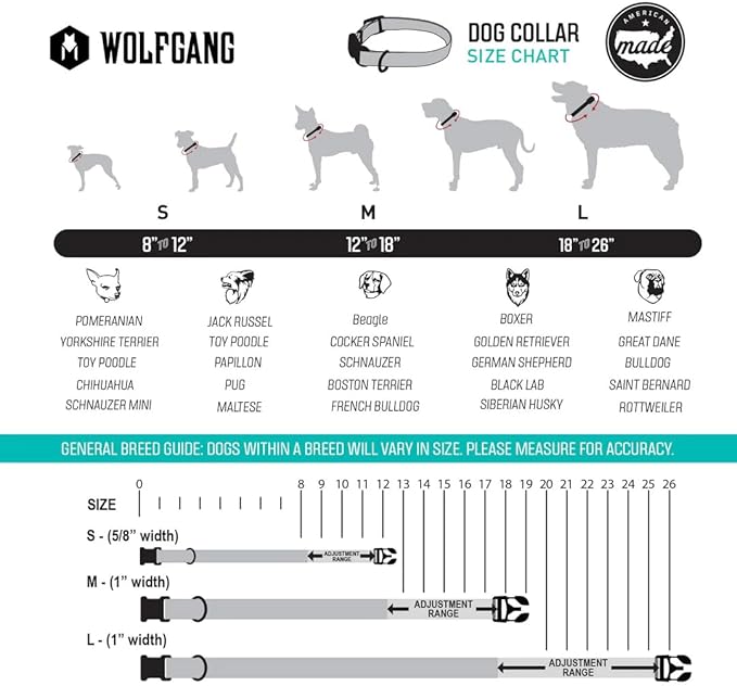 Wolfgang Heavy Duty, Adjustable Dog Collar with Quick Release Nylon Buckle for Walking & Training, Quetzal Print, Large