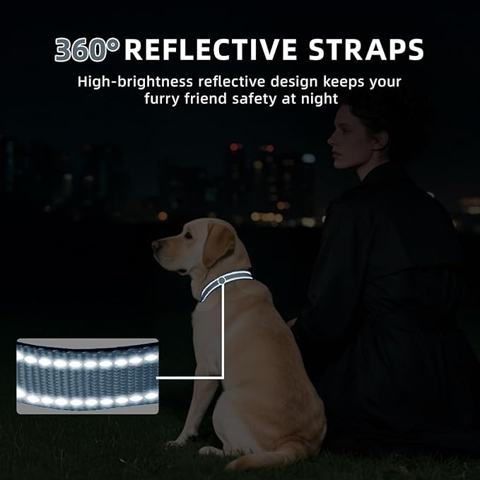 Reflective Dog Collar for Extra Large Dogs, Adjustable Collar with Soft Neoprene Padded, Durable Buckle for Daily Walking,Grey,XL