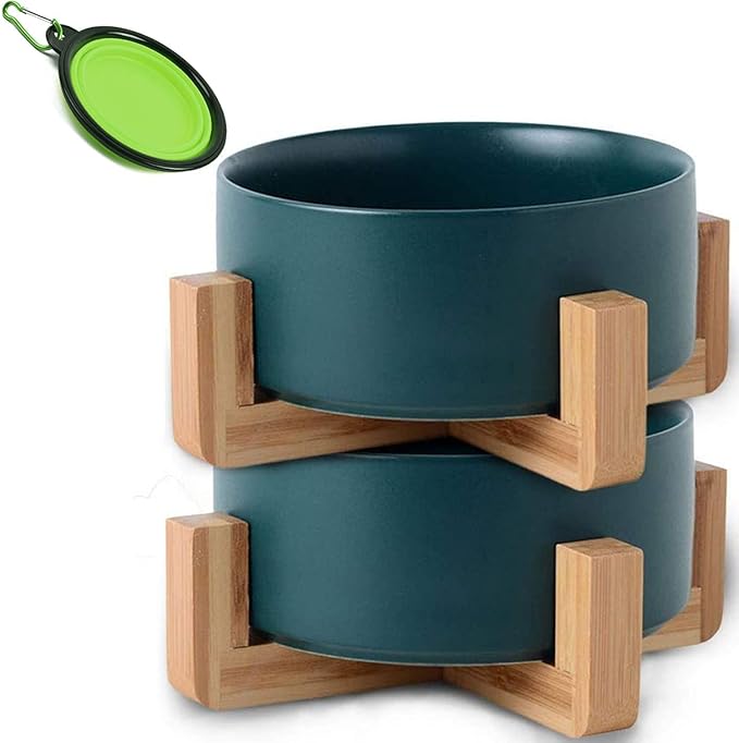 Petygooing Ceramic Dog Cat Bowl Set with Stand,Small Dog Bowls,Food and Water Dishes, Cute Modern Anti Slip Set of 2 Pet Food Dish- Small Size Pet (13.5OZ/5.1 in) Green