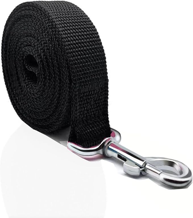 Nylon Dog Leash 16 Feet Long, Walking Training Dog Leashes for Medium Large Dogs(1" X 16 ft, Black)