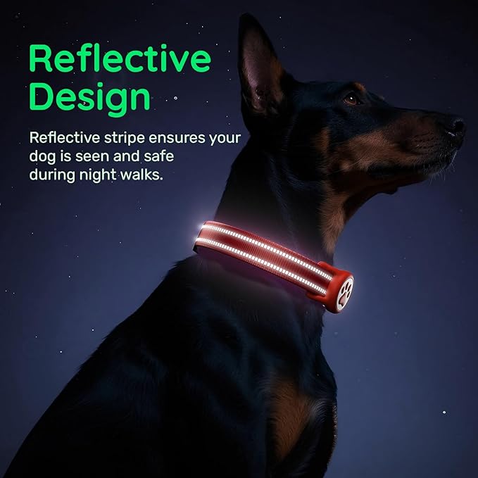 Airtag Dog Collar, Reflective Ultra-Durable Nylon Padded with QR Code Buckle & IP68 Waterproof Air Tag Holder Compatible for Apple AirTag, Comfortable for Small Medium Large Dogs(Red,S)