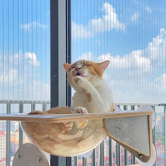 Cat Hammock Cat Wall Shelves, Foldable Cat Window Perch for Indoor Cats, Wall Mounted Cat Climbing Set, Suction Cup Large Cat Window Hammock Seat Shelf with Sturdy(Acrylic Space Capsule 40x30x15cm)