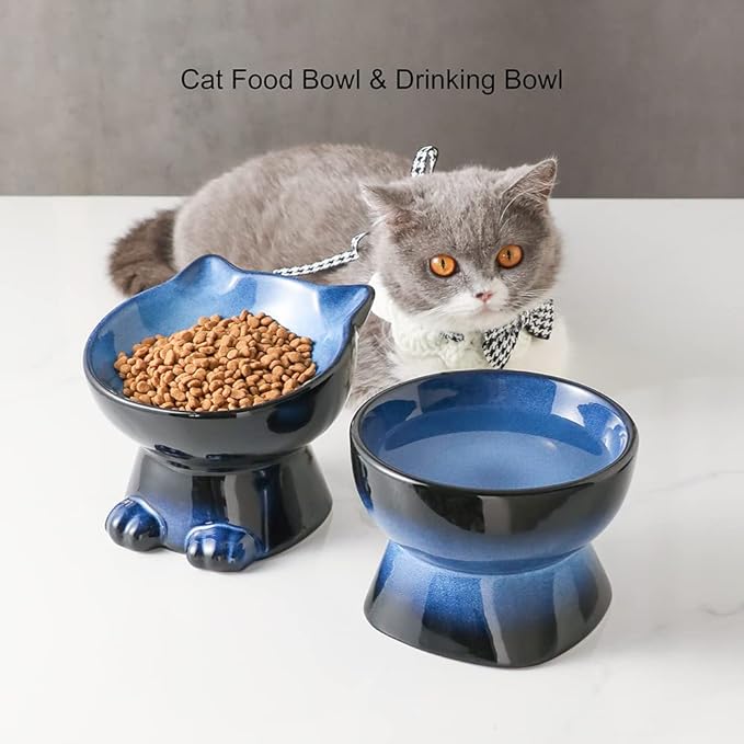 Nihow Elevated Cat/Dog Bowls Set : 6.2 Inch Ceramic Raised Cat Food & Water Bowl Set for Protecting Pet's Spine - Feeding & Watering Supplies for Cat/Small Size Dog - Elegant Blue & Black (2 PC)
