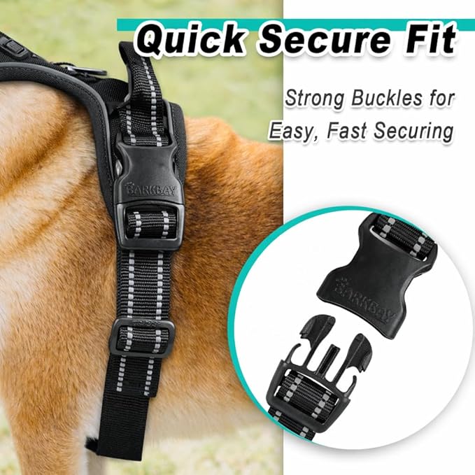 BARKBAY Dog Harness No Pull Mesh for Small Dogs - Adjustable, Reflective, Comfortable, No Choke, Heavy-Duty - Perfect for Outdoor Training, Walking, and Hiking - Strong & Durable - XS & Black Mesh