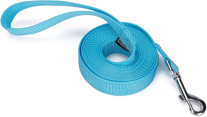 Strong Durable Nylon Dog Training Leash, 1 Inch Wide Traction Rope, 10 ft Long, for Small and Medium Dog (Mint Blue, 10 Feet)