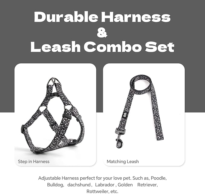 QQPETS Dog Harness Leash Set Adjustable Heavy Duty No Pull Halter Harnesses for Small Medium Large Breed Dogs Back Clip Anti-Twist Perfect for Walking