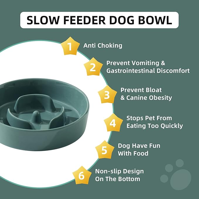 Ceramic 0.9 Cup Dog Bowl Slow Feeder for Small Dog, 6.1inch Pet Slow Feeder, Wet and Dry Food Dish, Stop Bloat, Preventing Choking(Single Bowl-Dark Green)