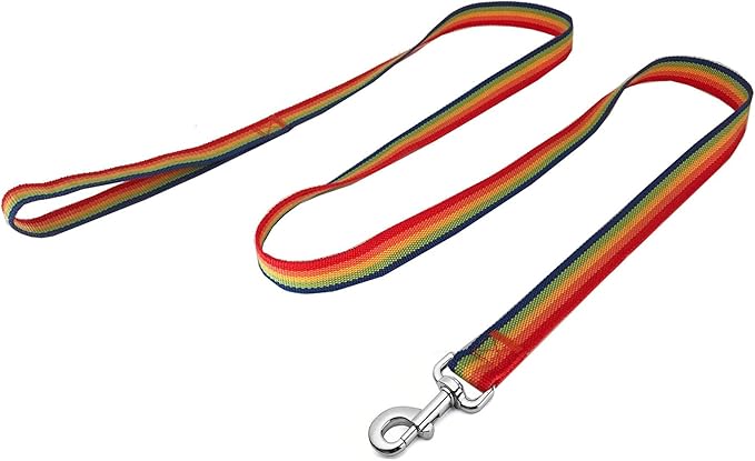 Strong Nylon Dog Leash, 4FT/ 5 FT/ 6FT Dog Leashes for Medium Large Dogs (6FT, Rainbow)