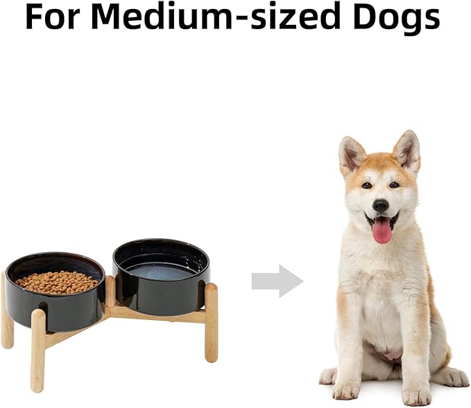 Ceramic 6.1inch Raised Dog Bowl with Stand for Small and Medium Breed Dog Dish Pet Food and Water Bowl (Double Bowl with Stand - Starry Sky, 28oz)