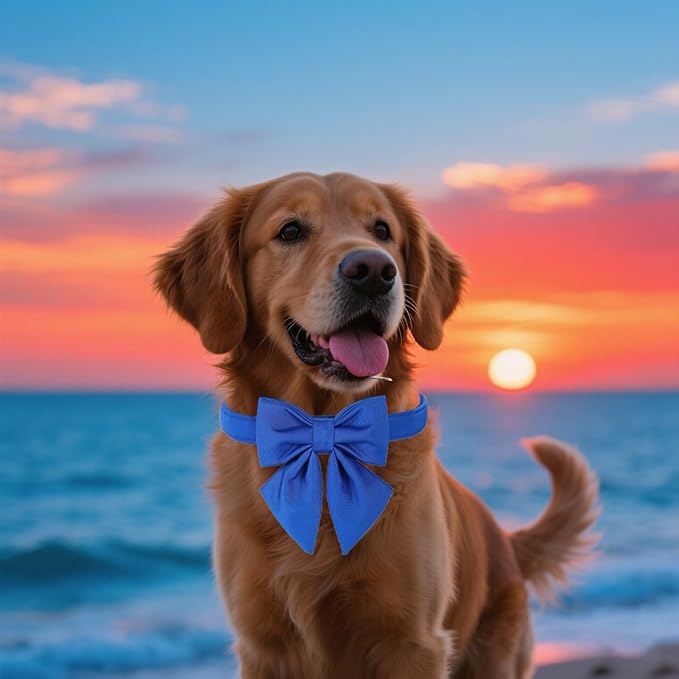Maca Bates Klein Blue Dog Collar with Cute Solid Sailor Bow Tie for Extra Large Girl Boy Dogs,Adjustbale Durable Breakaway Soft Collars with Bowtie for Female Male Puppy,Pet with Metal Buckle