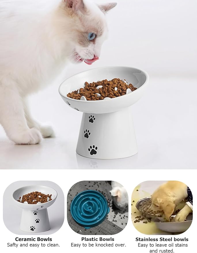 Y YHY Slow Feeder Cat Bowl, Ceramic Cat Slow Feeder Bowl, 6 Inches, Elevated, Anti Vomiting for Dry and Wet Food, White