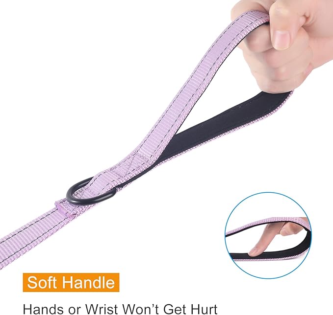 ECO-CLEAN Dog Leash for Large Dogs, Traffic Padded 2 Handles for Extra Control, 6 FT Long with Reflective Stitch for Night Walking (Purple)
