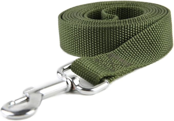 Nylon Dog Training Leash, Traction Rope, 4Ft /5 Foot /6 Feet Long, 5/8 inch 3/4 Inch 1 Inch Wide, for Small and Medium Dogs (1'' x 8 FT, Green)