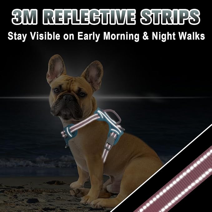 BARKBAY No Pull Dog Harness Large Reflective Dog Harness with Front Clip and Easy Control Handle for Walking Training Running with ID tag Pocket(Baby Blue & Baby Pink,XS)