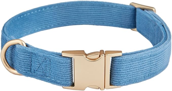 Soft Corduroy Fibric Dog Collar with High Grade Metal Buckle, for Small Dogs.(Blue,Small:10-15")