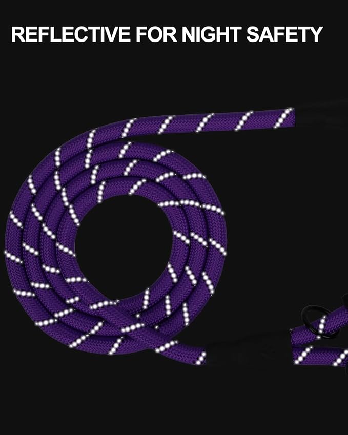 Joytale Dog Leash for Small Dogs, Heavy Duty Nylon Leashes with Comfortable Padded Handle and Highly Reflective Threads, Ideal for Walking and Training, Purple, 6'횞3/8''