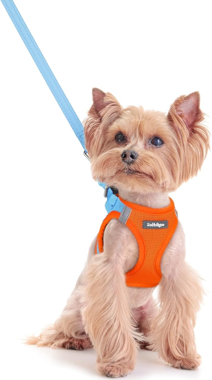 rabbitgoo Dog Harness Small Sized and Leash Set, Step in Soft Light Puppy Vest, Breathable Mesh Pet Harness, Reflective for Safe Easy Walking, Blue & Orange XXS