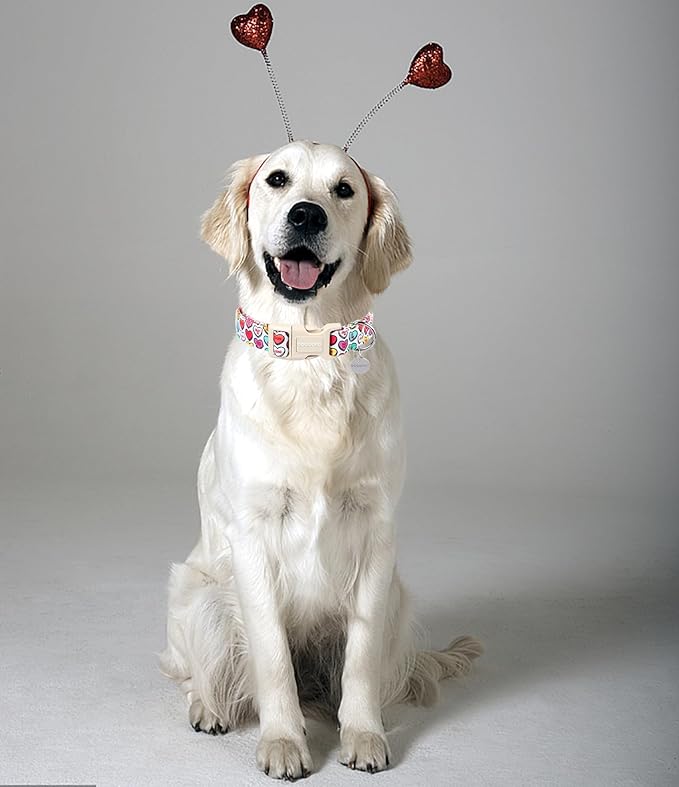 DOGWONG Valentine's Dog Collar, Adjustable Durable Heart Candy Dog Collar for Small Medium Dogs