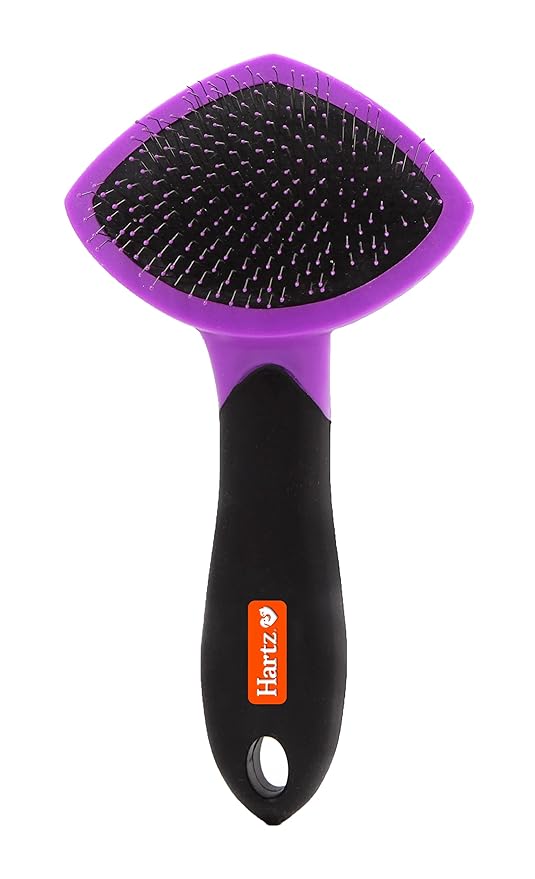 Hartz Groomer's Best Small Slicker Brush for Cats and Small Dogs, Black/Violet, 1 Count