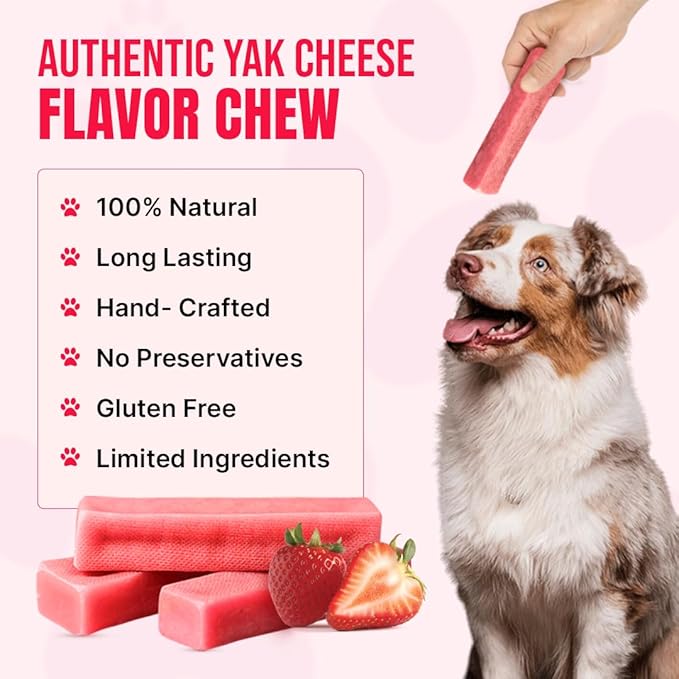 Tibetan Yak Cheese Dog Chew Sticks (4 Medium Chews) Strawberry Flavored - Natural, Handmade, Long-Lasting, Easy to Digest, Ideal for Medium Dogs and Aggressive Chewers, Rawhide, Grain and Gluten Free